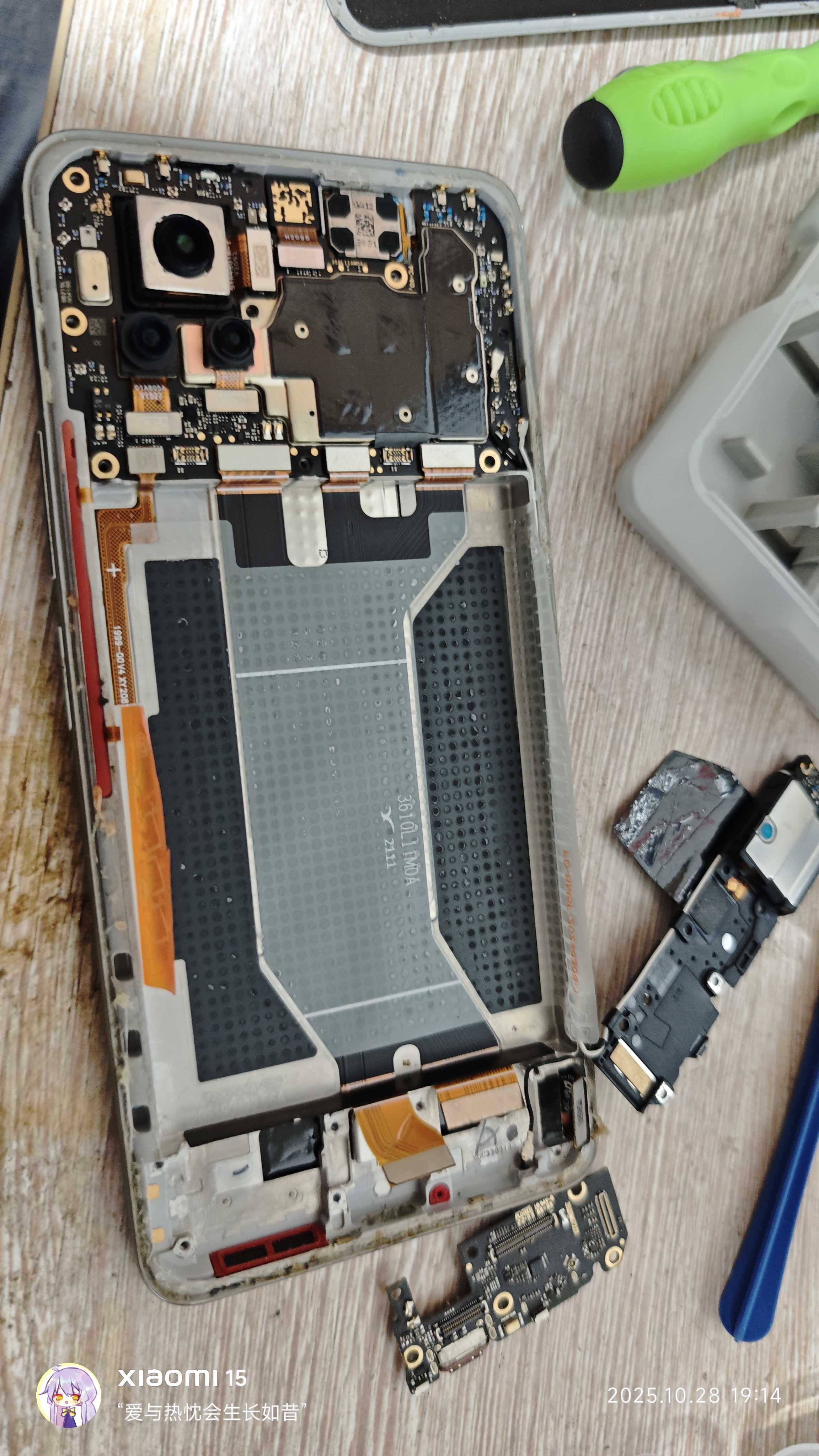 IMG_20251028_191456.jpg IMG_20251028_191456.jpg