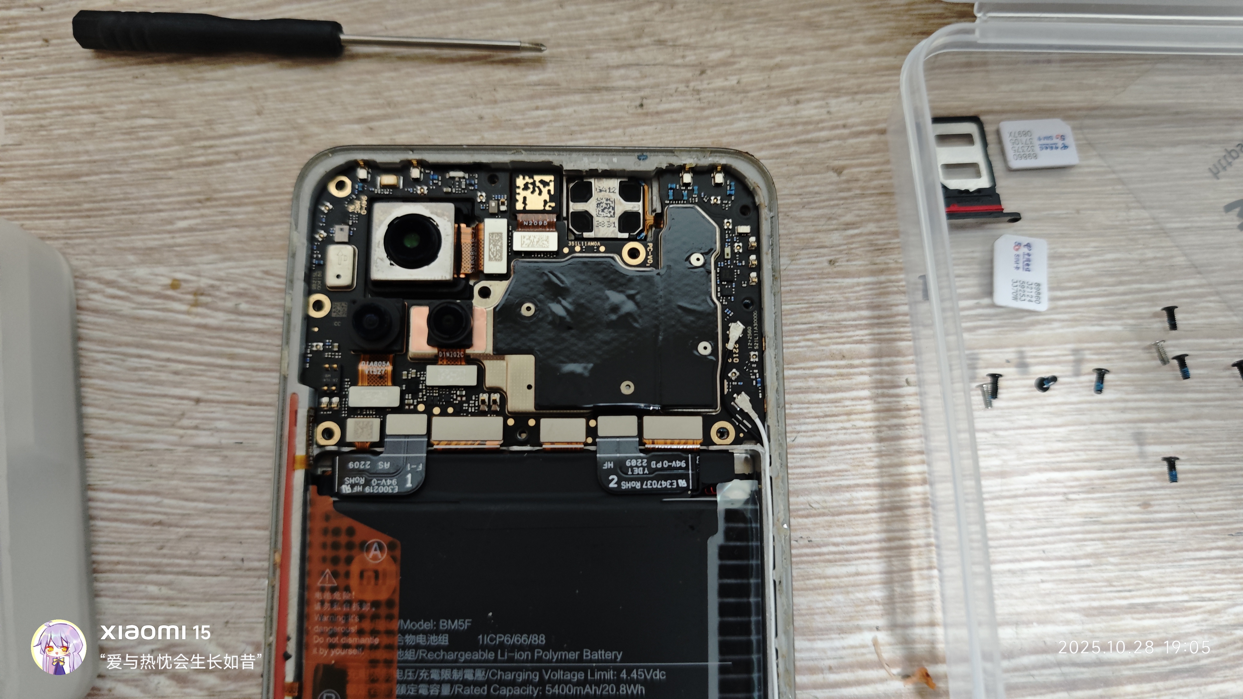 IMG_20251028_190522.jpg IMG_20251028_190522.jpg